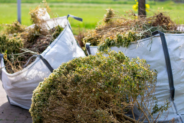 Best Trash Removal Near Me  in Hillsbo, OR